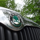 Image for article titled The Skoda Yeti Is Cheerful As Your Family Dog